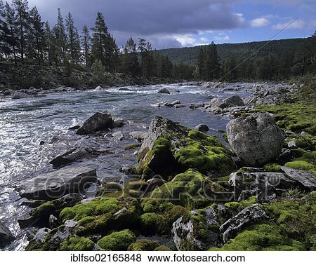 Otta mountain river, Oppland, Norway, Scandinavia, Europe View Large Photo Image Stock Photo - Otta mountain river, Oppland, Norway, Scandinavia, Europe. Fotosearch