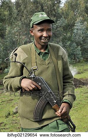 Park guide with machine gun during a gorilla trekking trip at the foot of the Gahinga volcano, Volcanoes National Park, Parc National des Volcans near the village of Kinigi, Rwanda, Africa View Large Photo Image Picture - Park guide with machine gun during a gorilla trekking trip at the foot of the Gahinga volcano, Volcanoes National Park, Parc National des Volcans near the village of Kinigi, Rwanda, Africa. Fotosearch