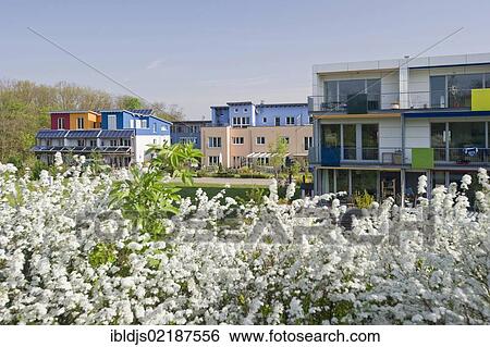 Stock Photograph - Passive houses, Rieselfeld district, Freiburg im Breisgau, Baden-Wuerttemberg, Germany, Europe. Fotosearch