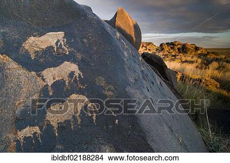 Petroglyphs of the San, Bushmen, near Kenhardt, Northern Cape, South Africa, Africa View Large Photo Image Picture - Petroglyphs of the San, Bushmen, near Kenhardt, Northern Cape, South Africa, Africa. Fotosearch