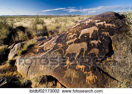 Petroglyphs of the San, bushmen, near Kenhardt, Northern Cape, South Africa, Africa View Large Photo Image Stock Image - Petroglyphs of the San, bushmen, near Kenhardt, Northern Cape, South Africa, Africa. Fotosearch