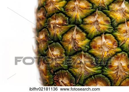 Stock Photograph - Pineapple (Ananas comosus), detail of the skin. Fotosearch