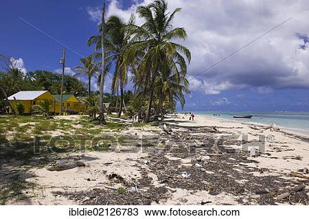Stock Image - Polluted beach with tourist cabins, Little Corn Island, Caribbean Sea, Nicaragua, Central America, America, North America. Fotosearch
