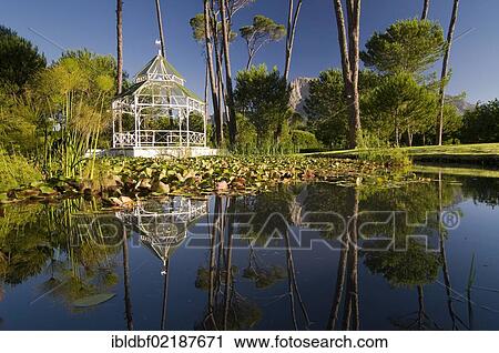 Pond, Boschendal wine estate, between Stellenbosch and Franschhoek, Western Cape, South Africa, Africa View Large Photo Image Stock Image - Pond, Boschendal wine estate, between Stellenbosch and Franschhoek, Western Cape, South Africa, Africa. Fotosearch