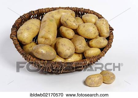 Potatoes View Large Photo Image Stock Image - Potatoes. Fotosearch