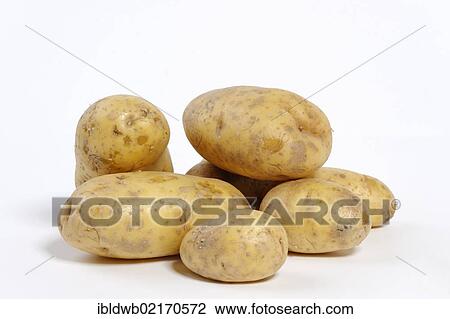 Stock Image - Potatoes. Fotosearch