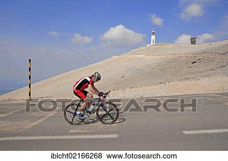 Racing cyclist on the road to the summit of Mont Ventoux, Vaucluse, Provence-Alpes-Cote d'Azur, Southern France, France, Europe, PublicGround, Europe View Large Photo Image Stock Photo - Racing cyclist on the road to the summit of Mont Ventoux, Vaucluse, Provence-Alpes-Cote d'Azur, Southern France, France, Europe, PublicGround, Europe. Fotosearch
