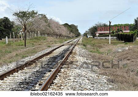 Stock Photography - Railroad tracks near Santa Clara, Santa Clara province, Santa Clara, Cuba, Greater Antilles, Caribbean, Central America, America, North America. Fotosearch