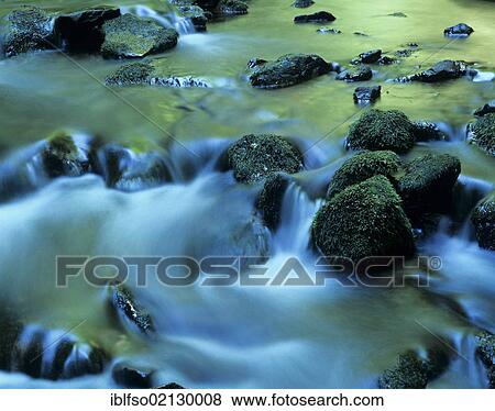 Stock Photo - Rapids of Vesser River, green coloured because of the reflection of the green leaves of the trees, Vesser Biosphere Reserve, Thuringian Forest, Thuringia, Germany, Europe. Fotosearch