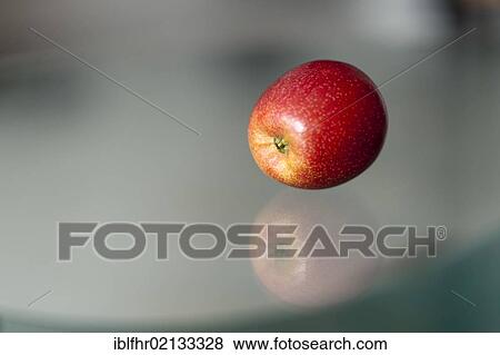 Ripe apple lying on a glass table View Large Photo Image Stock Photo - Ripe apple lying on a glass table. Fotosearch