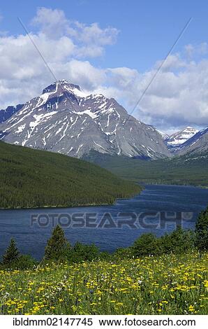 Rising Wolf Mountain, Two Medicine Mountain Lake, Glacier National Park, Rocky Mountains, Montana, USA, North America View Large Photo Image Stock Photography - Rising Wolf Mountain, Two Medicine Mountain Lake, Glacier National Park, Rocky Mountains, Montana, USA, North America. Fotosearch