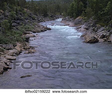 River in Saltdalen, Nordland, Norway, Scandinavia, Europe View Large Photo Image Stock Image - River in Saltdalen, Nordland, Norway, Scandinavia, Europe. Fotosearch