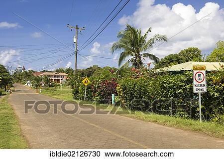 Road traffic signs in English in front of a school, Big Corn Island, Caribbean Sea, Nicaragua, Central America, North America View Large Photo Image Stock Image - Road traffic signs in English in front of a school, Big Corn Island, Caribbean Sea, Nicaragua, Central America, North America. Fotosearch