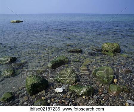 Rocky beach near Ahrenshoop, Fischland, Mecklenburg-Western Pomerania, Baltic Sea, Germany, Europe View Large Photo Image Stock Photograph - Rocky beach near Ahrenshoop, Fischland, Mecklenburg-Western Pomerania, Baltic Sea, Germany, Europe. Fotosearch