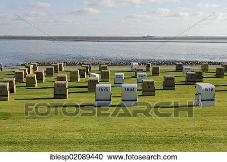 Stock Image - Roofed wicker beach chairs standing on a lawn, beach, Buesum, district of Dithmarschen, Schleswig-Holstein, North Sea, Wadden Sea, Germany, Europe, PublicGround, Europe. Fotosearch