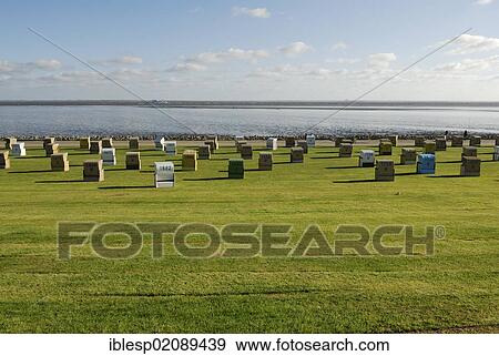 Roofed wicker beach chairs standing on a lawn, beach, Buesum, district of Dithmarschen, Schleswig-Holstein, North Sea, Wadden Sea, Germany, Europe, PublicGround, Europe View Large Photo Image Stock Photo - Roofed wicker beach chairs standing on a lawn, beach, Buesum, district of Dithmarschen, Schleswig-Holstein, North Sea, Wadden Sea, Germany, Europe, PublicGround, Europe. Fotosearch