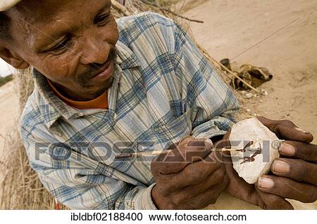 San, Bushman, painting traditional figures on stone, Bushman art, near Andriesvale, Kalahari Desert, Northern Cape, South Africa, Africa View Large Photo Image Stock Image - San, Bushman, painting traditional figures on stone, Bushman art, near Andriesvale, Kalahari Desert, Northern Cape, South Africa, Africa. Fotosearch