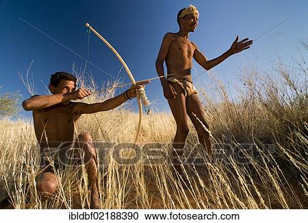 San, Bushmen, with a bow and arrow, near Andriesvale, Kalahari Desert, Northern Cape, South Africa, Africa View Large Photo Image Stock Image - San, Bushmen, with a bow and arrow, near Andriesvale, Kalahari Desert, Northern Cape, South Africa, Africa. Fotosearch