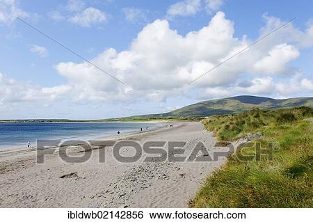 Sandy beach west of Dingle, Dingle Peninsula, County Kerry, Ireland, Europe View Large Photo Image Stock Photograph - Sandy beach west of Dingle, Dingle Peninsula, County Kerry, Ireland, Europe. Fotosearch