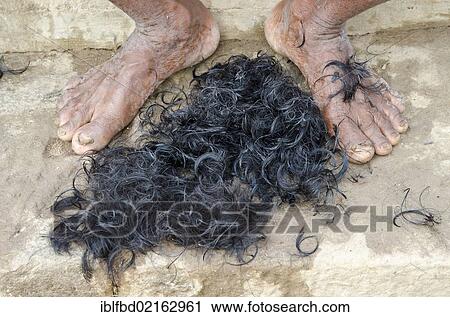 Shaving head and beard is part of the ritual to bid farewell to the soul of a deceased person, at the ghats of Varanasi, Uttar Pradesh, India, Asia View Large Photo Image Stock Image - Shaving head and beard is part of the ritual to bid farewell to the soul of a deceased person, at the ghats of Varanasi, Uttar Pradesh, India, Asia. Fotosearch