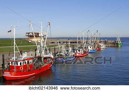 Shrimp cutters in harbour, Accumersiel, East Frisia, Lower Saxony, Germany, Europe View Large Photo Image Stock Photograph - Shrimp cutters in harbour, Accumersiel, East Frisia, Lower Saxony, Germany, Europe. Fotosearch