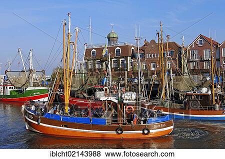 Shrimp cutters in the harbour, Neuharlingersiel, East Frisia, Lower Saxony, Germany, Europe View Large Photo Image Stock Photo - Shrimp cutters in the harbour, Neuharlingersiel, East Frisia, Lower Saxony, Germany, Europe. Fotosearch