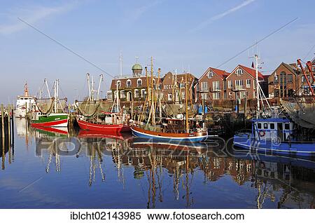 Shrimp cutters in the harbour, Neuharlingersiel, East Frisia, Lower Saxony, Germany, Europe View Large Photo Image Stock Photography - Shrimp cutters in the harbour, Neuharlingersiel, East Frisia, Lower Saxony, Germany, Europe. Fotosearch
