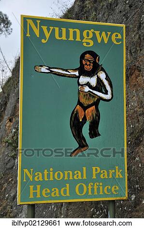 Sign at the entrance to the Nyungwe National Park, Rwanda, Africa View Large Photo Image Stock Image - Sign at the entrance to the Nyungwe National Park, Rwanda, Africa. Fotosearch