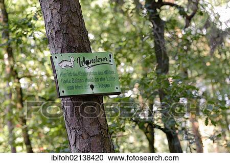 Stock Image - Sign in the forest informing hikers to stay on the path and keep dogs on a leash, Muenster, North Rhine-Westphalia, Germany, Europe, PublicGround, Europe. Fotosearch