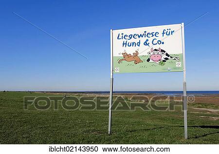 Stock Image - Sign, lawn for dogs and co., Dornumersiel, East Frisia, Lower Saxony, Germany, Europe. Fotosearch