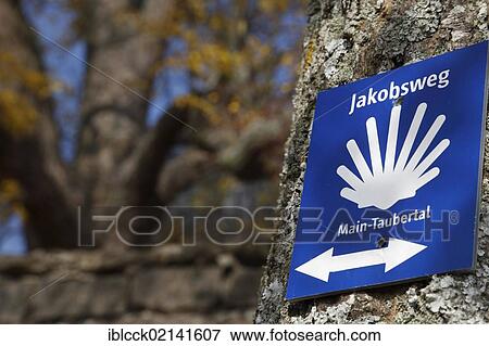 Sign of St. James Way for the Main-Taubertal district, Oberwittighausen, Wittighausen, Baden-Wuerttemberg, Germany, Europe View Large Photo Image Stock Photo - Sign of St. James Way for the Main-Taubertal district, Oberwittighausen, Wittighausen, Baden-Wuerttemberg, Germany, Europe. Fotosearch