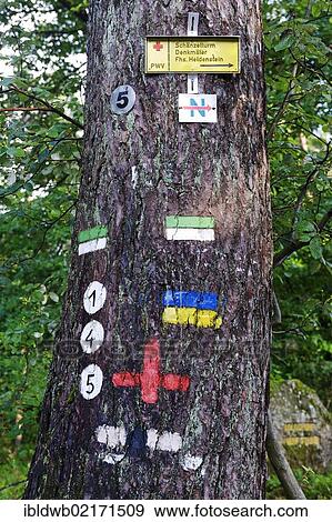 Stock Photo - Signposts, signs for hiking trails in the Palatinate Forest Nature Park, Rhineland-Palatinate, Germany, Europe. Fotosearch