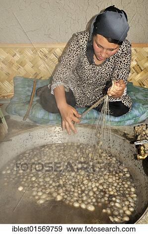 Silk production, Usbek woman cooking silkworm cocoons, Silk Road, Fergana Valley, Uzbekistan, Central Asia, Asia View Large Photo Image Stock Photo - Silk production, Usbek woman cooking silkworm cocoons, Silk Road, Fergana Valley, Uzbekistan, Central Asia, Asia. Fotosearch