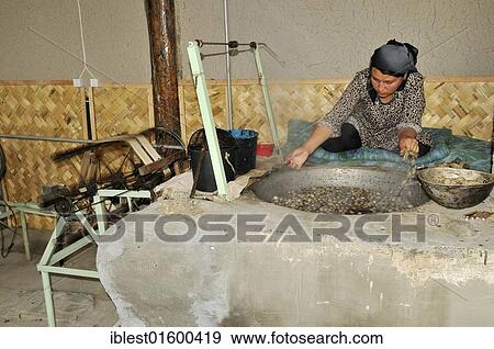 Silk production, Usbek woman cooking silkworm cocoons, Silk Road, Fergana Valley, Uzbekistan, Central Asia, Asia View Large Photo Image Stock Photo - Silk production, Usbek woman cooking silkworm cocoons, Silk Road, Fergana Valley, Uzbekistan, Central Asia, Asia. Fotosearch