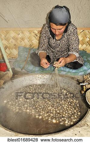 Silk production, Usbek woman cooking silkworm cocoons, Silk Road, Fergana Valley, Uzbekistan, Central Asia, Asia View Large Photo Image Stock Photo - Silk production, Usbek woman cooking silkworm cocoons, Silk Road, Fergana Valley, Uzbekistan, Central Asia, Asia. Fotosearch
