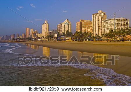 Skyline of Durban with the beach in the morning light, Durban, KwaZulu-Natal, South Africa, Africa View Large Photo Image Stock Photo - Skyline of Durban with the beach in the morning light, Durban, KwaZulu-Natal, South Africa, Africa. Fotosearch