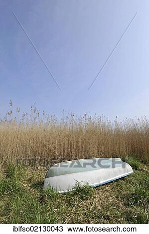 Small boat lying upside down on a surface made of reeds and grass under a blue sky, with space in the sky for text, Ruegen, Mecklenburg-Western Pomerania, Germany, Europe View Large Photo Image Stock Image - Small boat lying upside down on a surface made of reeds and grass under a blue sky, with space in the sky for text, Ruegen, Mecklenburg-Western Pomerania, Germany, Europe. Fotosearch