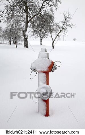Stock Image - Snow-covered fire hydrant, Hotzenwald, Black Forest, Baden-Wuerttemberg, Germany, Europe, PublicGround, Europe. Fotosearch