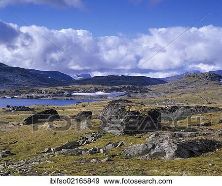 Sognefjell, Sogn og Fjordane, Norway, Scandinavia, Europe View Large Photo Image Stock Photo - Sognefjell, Sogn og Fjordane, Norway, Scandinavia, Europe. Fotosearch