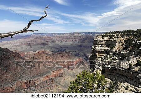 Picture - South Rim, view of the Grand Canyon, Arizona, USA, North America. Fotosearch