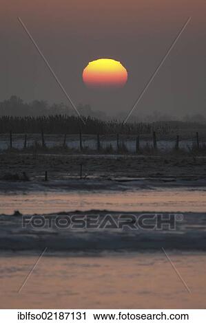 Sunrise over the meadows near Prerow, Darss, Mecklenburg-Western Pomerania, Germany, Europe View Large Photo Image Stock Image - Sunrise over the meadows near Prerow, Darss, Mecklenburg-Western Pomerania, Germany, Europe. Fotosearch