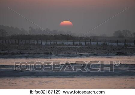 Sunrise over the meadows near Prerow, Darss, Mecklenburg-Western Pomerania, Germany, Europe View Large Photo Image Stock Photo - Sunrise over the meadows near Prerow, Darss, Mecklenburg-Western Pomerania, Germany, Europe. Fotosearch