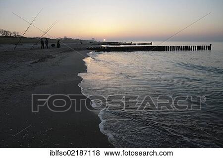 Surf fishing at sunset on the beach near the seaside resort town of Ahrenshoop, Fischland, Mecklenburg-Western Pomerania, Baltic Sea, Germany, Europe View Large Photo Image Stock Photo - Surf fishing at sunset on the beach near the seaside resort town of Ahrenshoop, Fischland, Mecklenburg-Western Pomerania, Baltic Sea, Germany, Europe. Fotosearch
