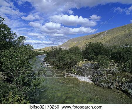 Stock Image - The Atna river in the Dørålen, Doralen Valley, Rondane National Park, Norway, Scandinavia, Europe. Fotosearch