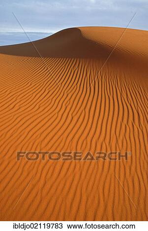 The sand dunes of Erg Chebbi at the western edge of the Sahara desert, Meknès-Tafilalet, Morocco, Africa View Large Photo Image Stock Image - The sand dunes of Erg Chebbi at the western edge of the Sahara desert, Meknès-Tafilalet, Morocco, Africa. Fotosearch