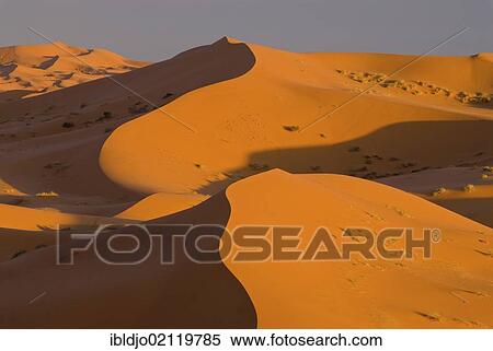 The sand dunes of Erg Chebbi at the western edge of the Sahara desert, Meknès-Tafilalet, Morocco, Africa View Large Photo Image Stock Photography - The sand dunes of Erg Chebbi at the western edge of the Sahara desert, Meknès-Tafilalet, Morocco, Africa. Fotosearch