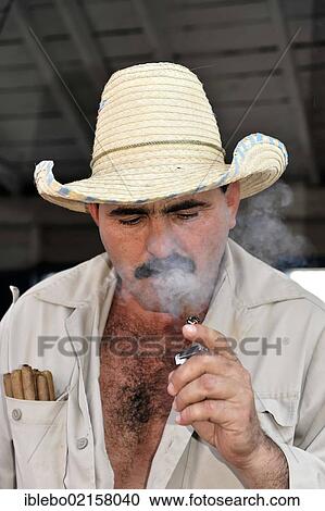 Tobacco farmer smoking a cigar, Tobacco (Nicotiana), tobacco cultivation in the Valle de Vinales National Park, Vinales, Province of Pinar del Rio, Cuba, Greater Antilles, Caribbean, Central America, America, North America View Large Photo Image Stock Image - Tobacco farmer smoking a cigar, Tobacco (Nicotiana), tobacco cultivation in the Valle de Vinales National Park, Vinales, Province of Pinar del Rio, Cuba, Greater Antilles, Caribbean, Central America, America, North America. Fotosearch