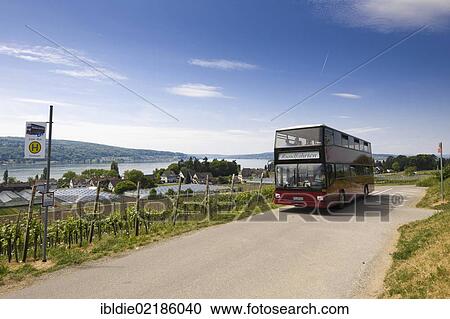 Stock Image - Tourist coach, round-island trip, Reichenau Island, Lake Constance, Baden-Wuerttemberg, southern Germany, Germany, Europe. Fotosearch