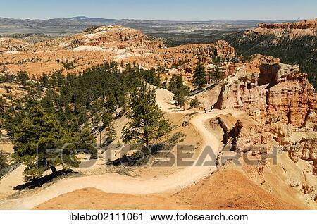 Stock Image - Tracks at the canyon rim, Bryce Canyon National Park, Utah, USA, North America. Fotosearch