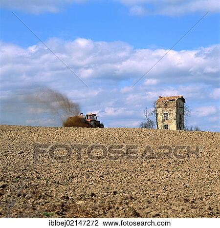 Stock Image - Tractor at work in a field, a derelict house at back, Limagne, Auvergne, France, Europe. Fotosearch